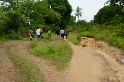 DSC_9350 (Large).JPG